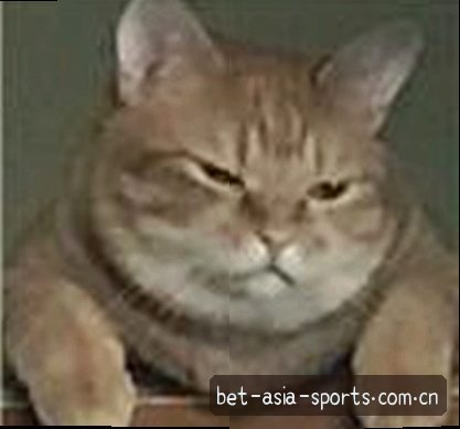 王磊